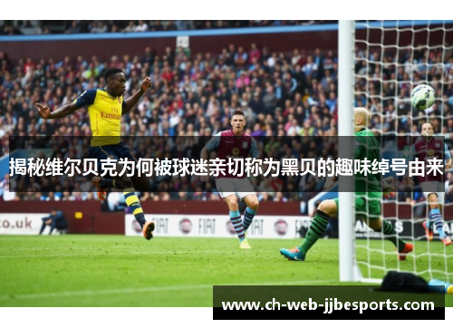 揭秘维尔贝克为何被球迷亲切称为黑贝的趣味绰号由来 揭秘维尔贝克为何被球迷亲切称为黑贝的趣味绰号由来