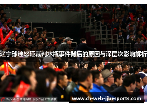 辽宁球迷怒砸裁判水瓶事件背后的原因与深层次影响解析