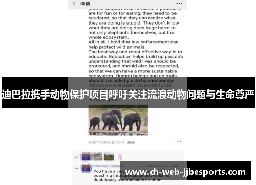 迪巴拉携手动物保护项目呼吁关注流浪动物问题与生命尊严