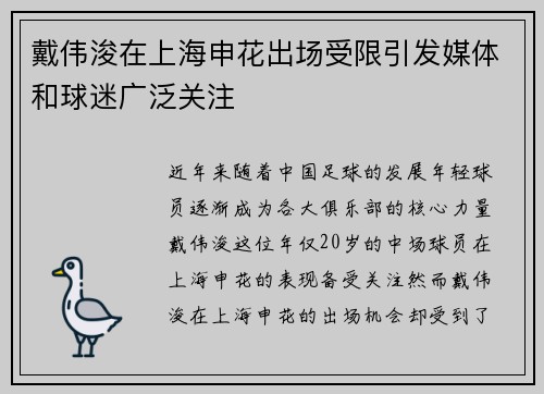 戴伟浚在上海申花出场受限引发媒体和球迷广泛关注